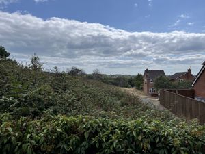 View Of The Heath- click for photo gallery